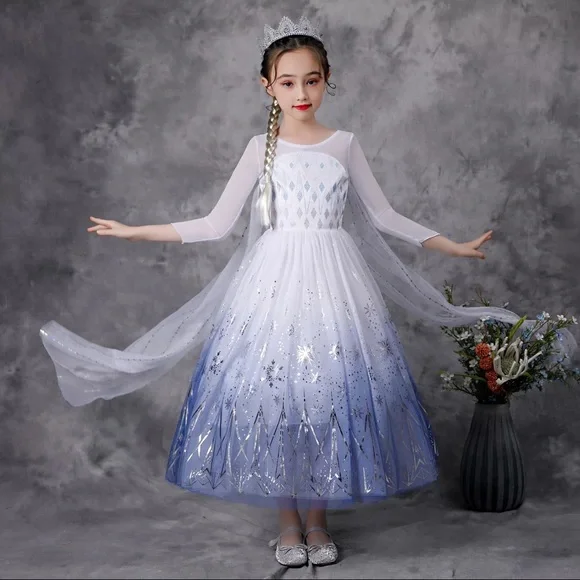 Luxury Frozen Elsa Sparkly Costume Dress 5018 - Picture 3 of 8